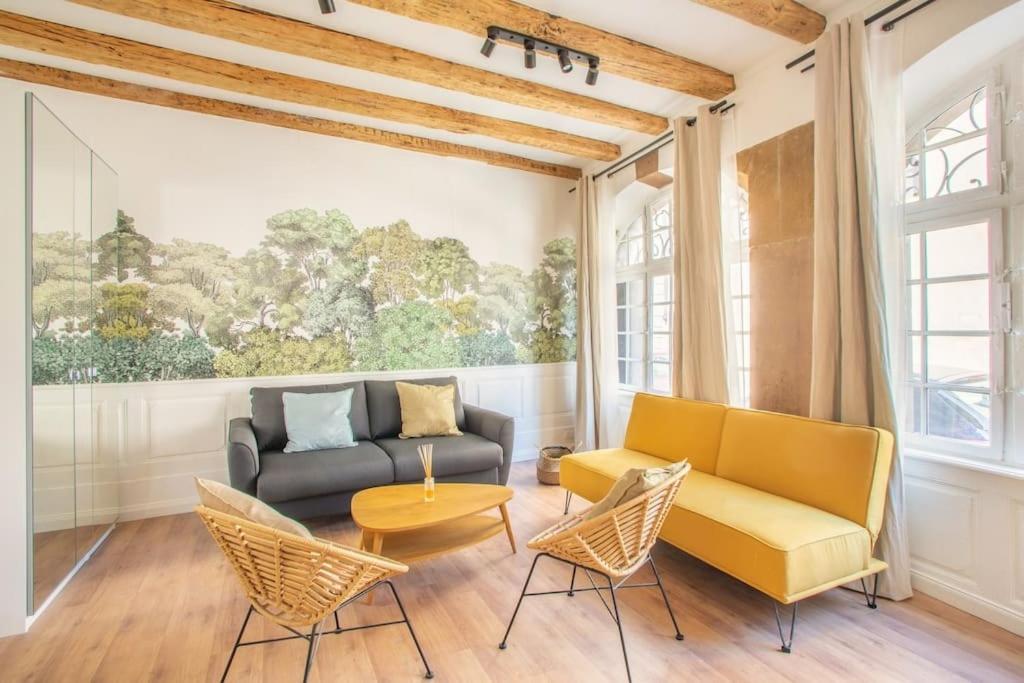 La Halte Strasbourgeoise - Superbe Appt Pres De La Petite France Apartman Kültér fotó